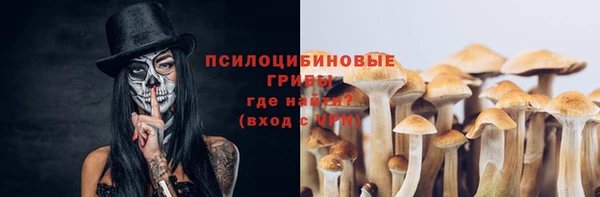 mix Медногорск