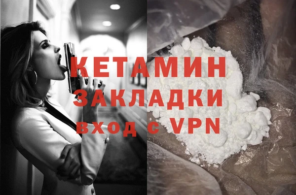трава Наволоки