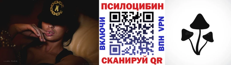 Галлюциногенные грибы Cubensis  купить   Камешково 